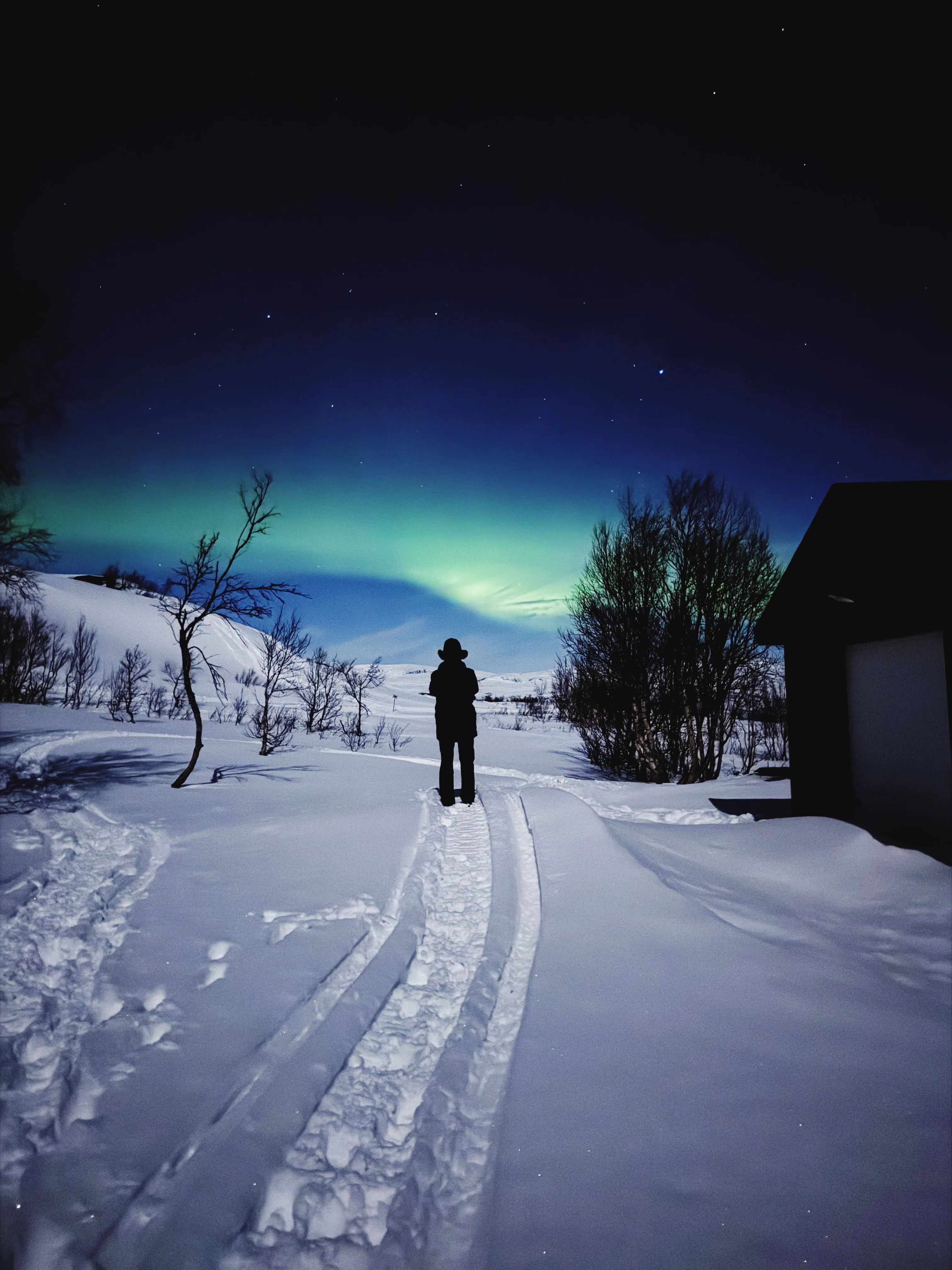 Northern lights over a snowy landscape in Lapland